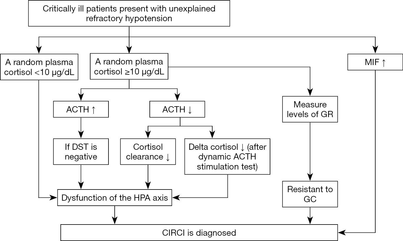 A Potential Diagnostic Protocol For Critical Illness Related Corticosteroid Insufficiency Circi In Critically Ill Patients Huang Journal Of Emergency And Critical Care Medicine
