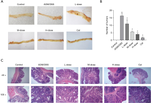 TiaochangXiaoliu decoction inhibits azomethane (AOM)/dextran