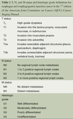 Esophageal cancer: staging system and guidelines for staging and ...