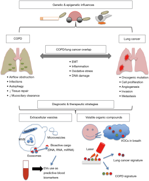 how to assess copd severity prognosis