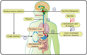 is gabapentin good for acid reflux