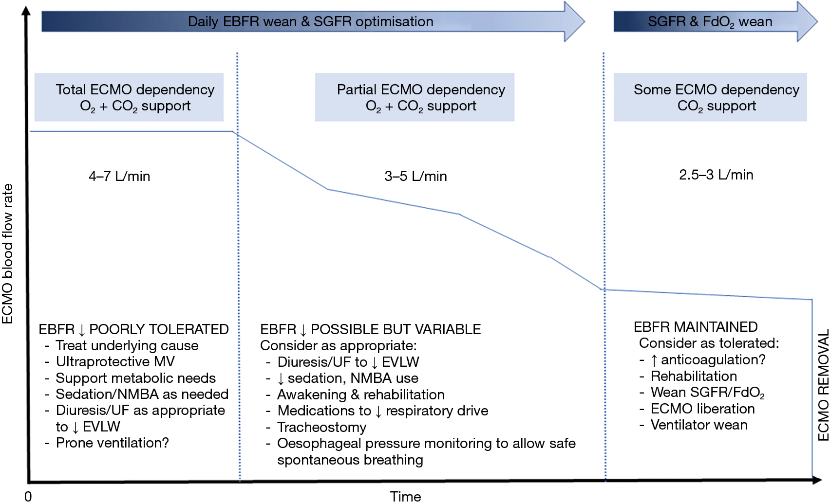 Protocol Driven Daily Optimisation Of Venovenous Extracorporeal Membrane Oxygenation Blood Flows An Alternate Paradigm Shekar Journal Of Thoracic Disease