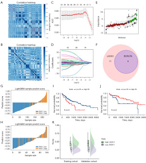 Development and validation of a pathomics model to predict SOX11 ...