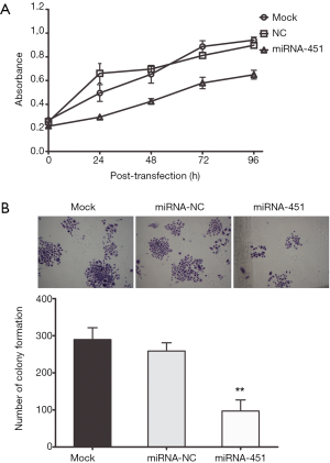 miRNA-451 inhibits proliferation and motility of the gastric 
