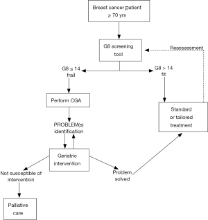 A Guide to Breast Cancer in Older Adults