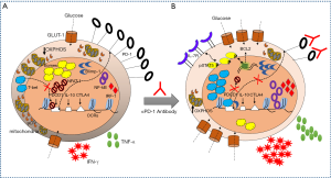 PD-1 blockade-unresponsive human tumor-infiltrating CD8+ T
