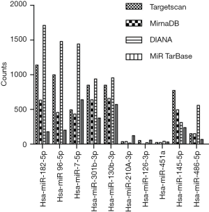 Meta-analysis of miR-34 target mRNAs using an integrative online  application - Computational and Structural Biotechnology Journal