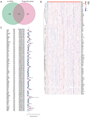 Modeling of new markers for the diagnosis and prognosis of