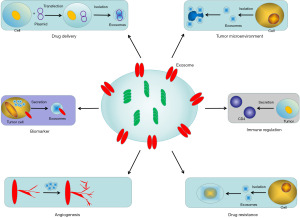 Exosomal microRNAs in lung cancer: a narrative review