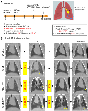 Radiotherapy vs. photodynamic therapy: a comparison of antitumor ...