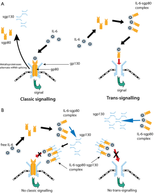 branching microvilli mesothelioma