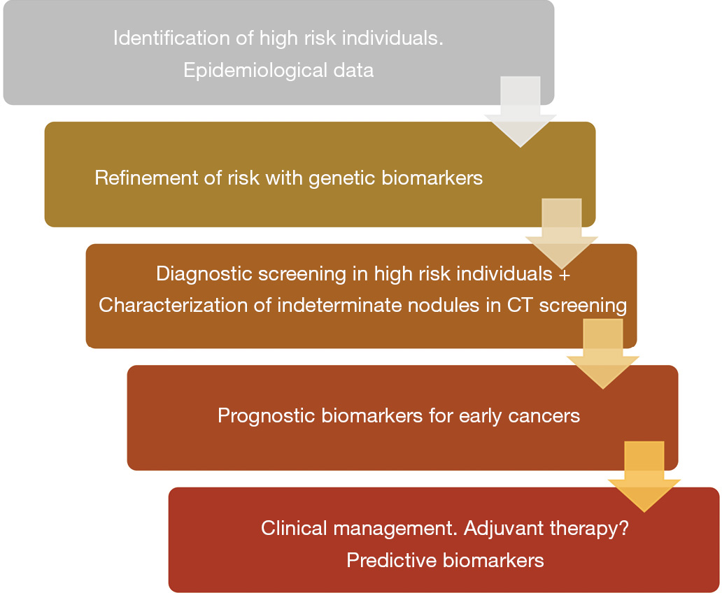 Molecular biomarkers in early stage lung cancer - Rodríguez