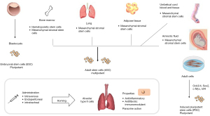 Current approved therapeutic strategies for IPF and LC treatment.