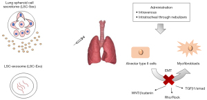 The oncogenic landscape of the idiopathic pulmonary fibrosis: a