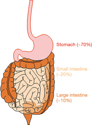 A narrative review of imatinib-resistant gastrointestinal stromal ...