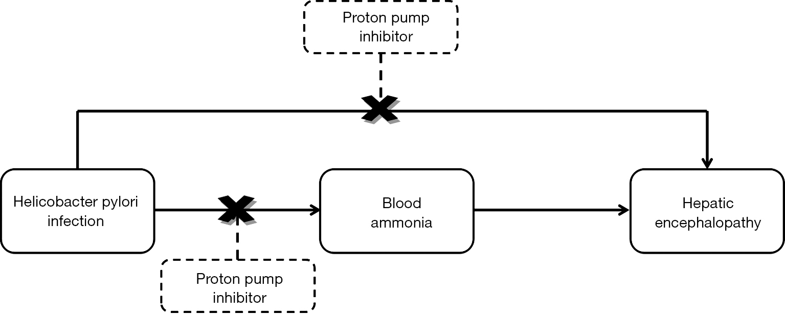 Proton Pump Inhibitors In Liver Cirrhosis A Review Of Benefits And Harms Zhu Ame Medical Journal Proton Pump Inhibitors In Liver Cirrhosis A Review Of Benefits And Harms Zhu Ame Medical Journal